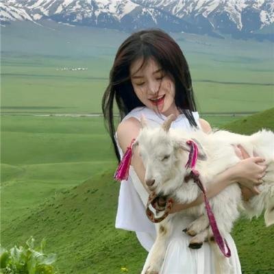 月光光新慌慌：万圣结