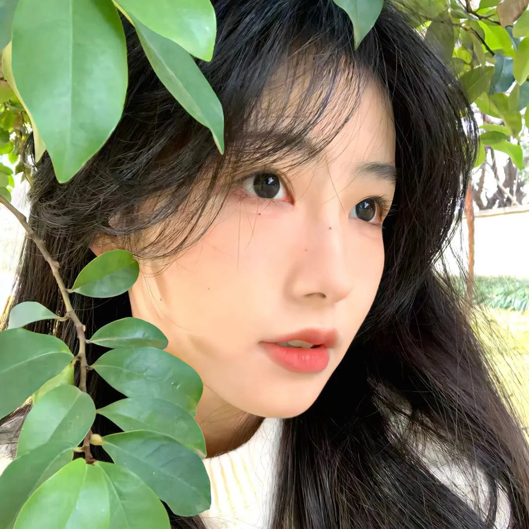 锦鲤萌宝助我成传奇